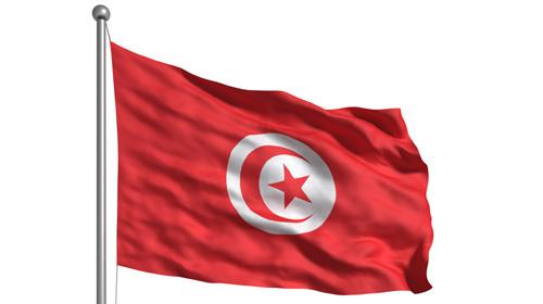 tunisian flag istock